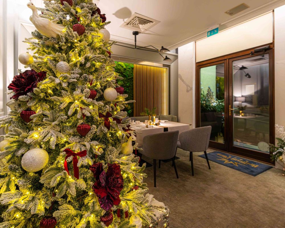 Prezentare Brilliant- Craciun27