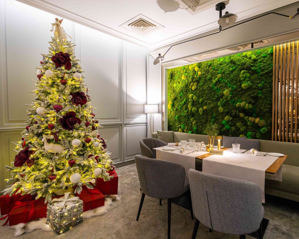 Prezentare Brilliant- Craciun28