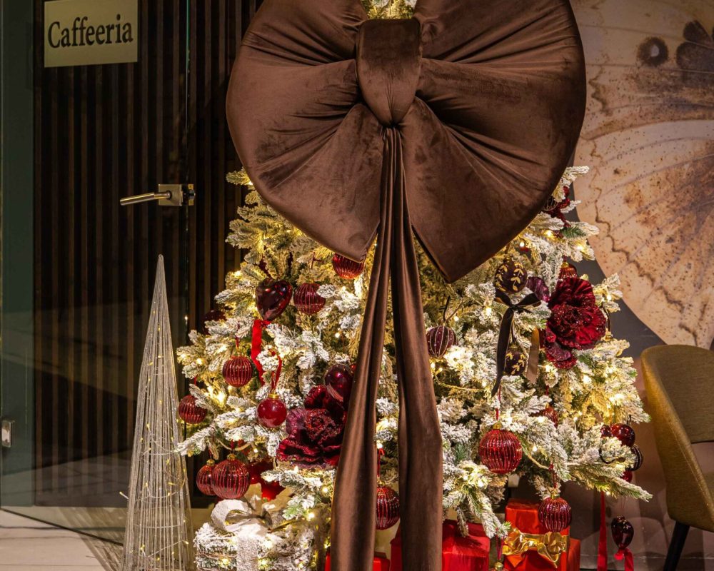 Prezentare Brilliant- Craciun32